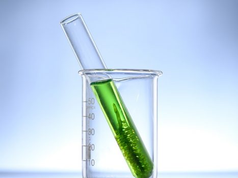 5 raisons de consommer de la spiruline