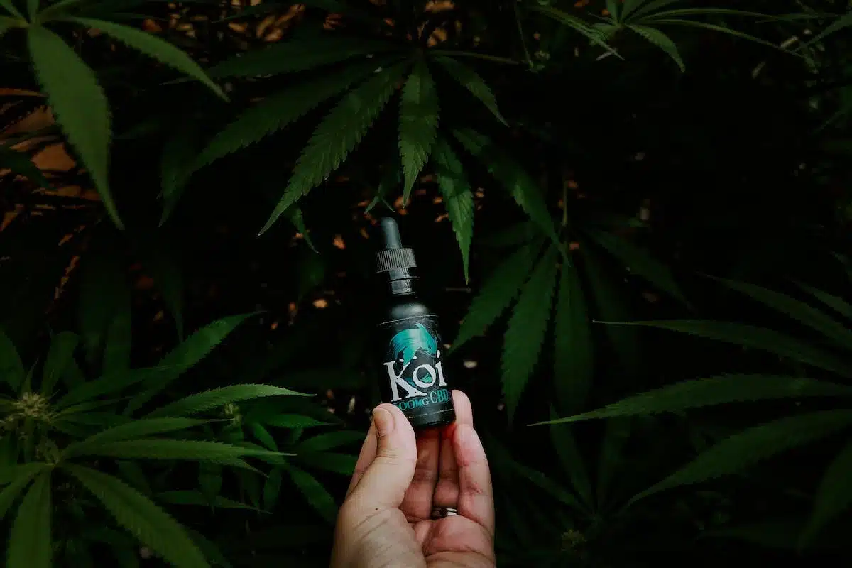 e-liquide  cbd