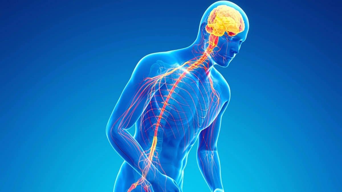 maladie de Parkinson 