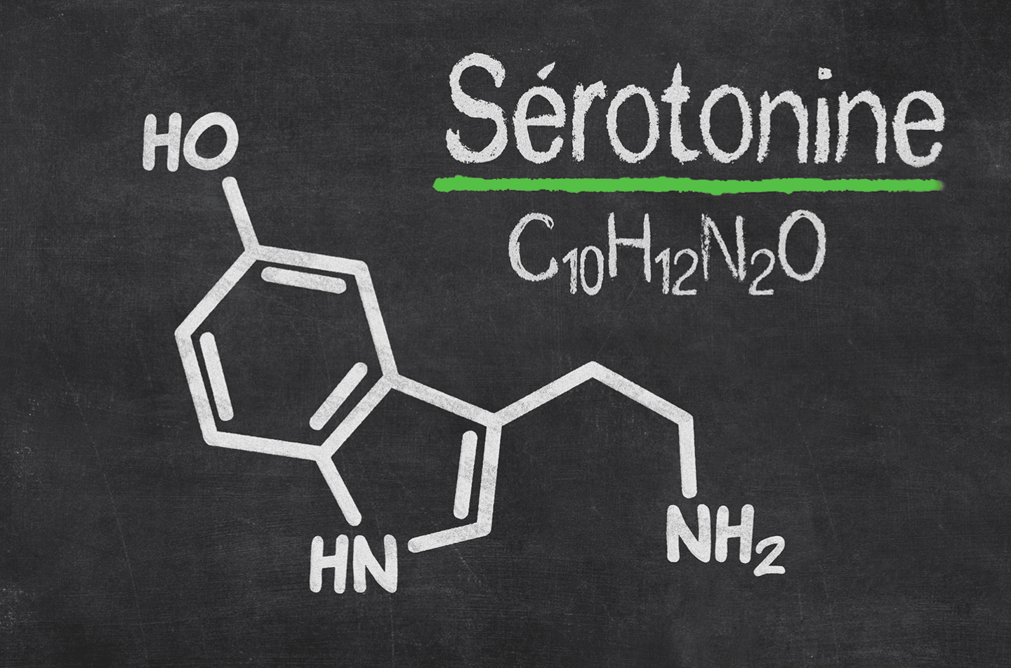 Comprendre la sérotonine